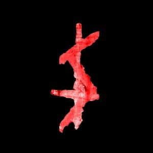 Meet your Posher, Owen